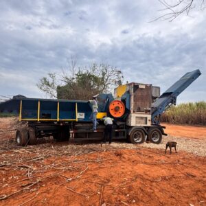 Picador Ferzer Rodochipper